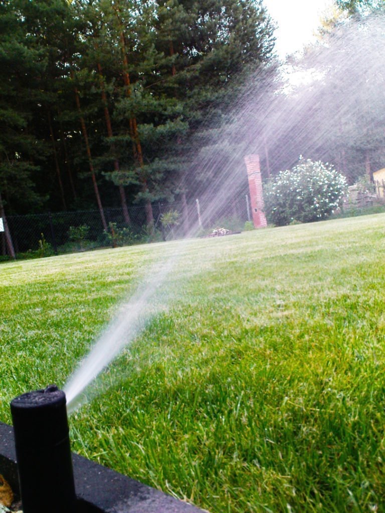 Automatyczny zraszacz trawnikowy w akcji, z widocznym strumieniem wody na tle zielonej trawy i drzew iglastych.