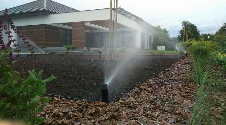 Zraszacze rotacyjne nawadniają świeżo posianą trawę na tle nowoczesnego budynku z drewnianą elewacją i rabatami kwiatowymi.