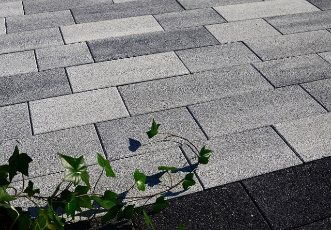 Ułożona nawierzchnia z prostokątnych, szarych elementów z widoczną fakturą, z pnączem bluszczu w rogu kadru i ciemniejszym obramowaniem z boku.