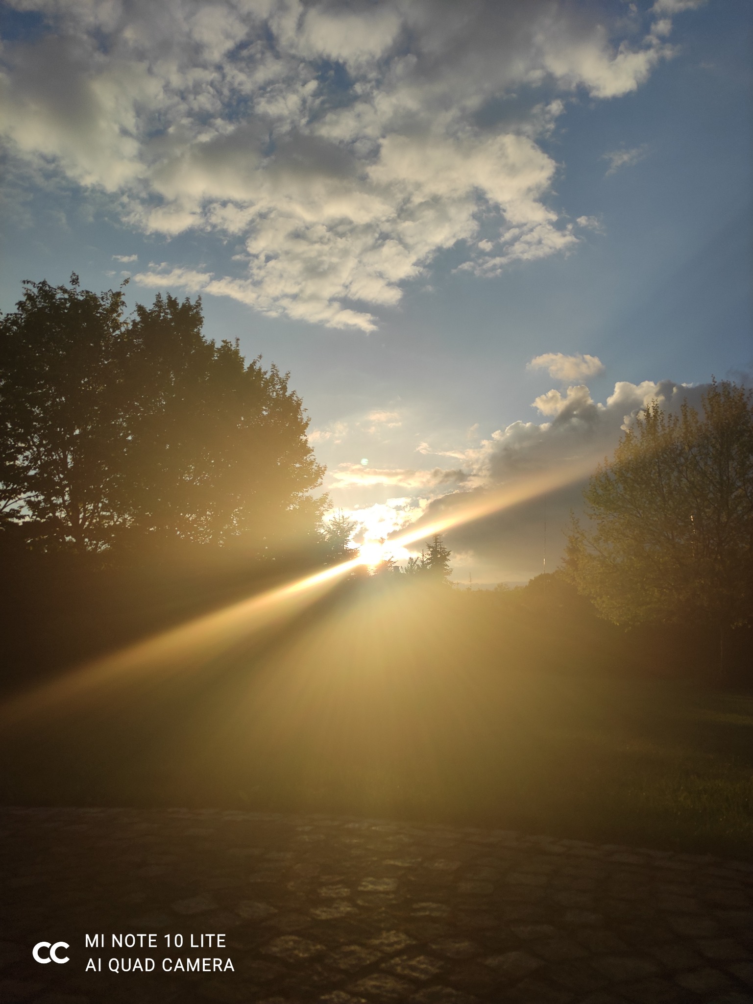 Światło słoneczne przebija się przez chmury i korony drzew, oświetlając fragment ułożonej nawierzchni z kostki, widok w kontraście.