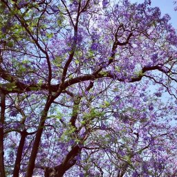 Grafik komputerowy Białystok 1