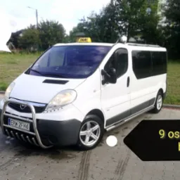 Biały, długi bus taxi z chromowanym orurowaniem z przodu, zaparkowany na kostce brukowej przed zielonym trawnikiem.