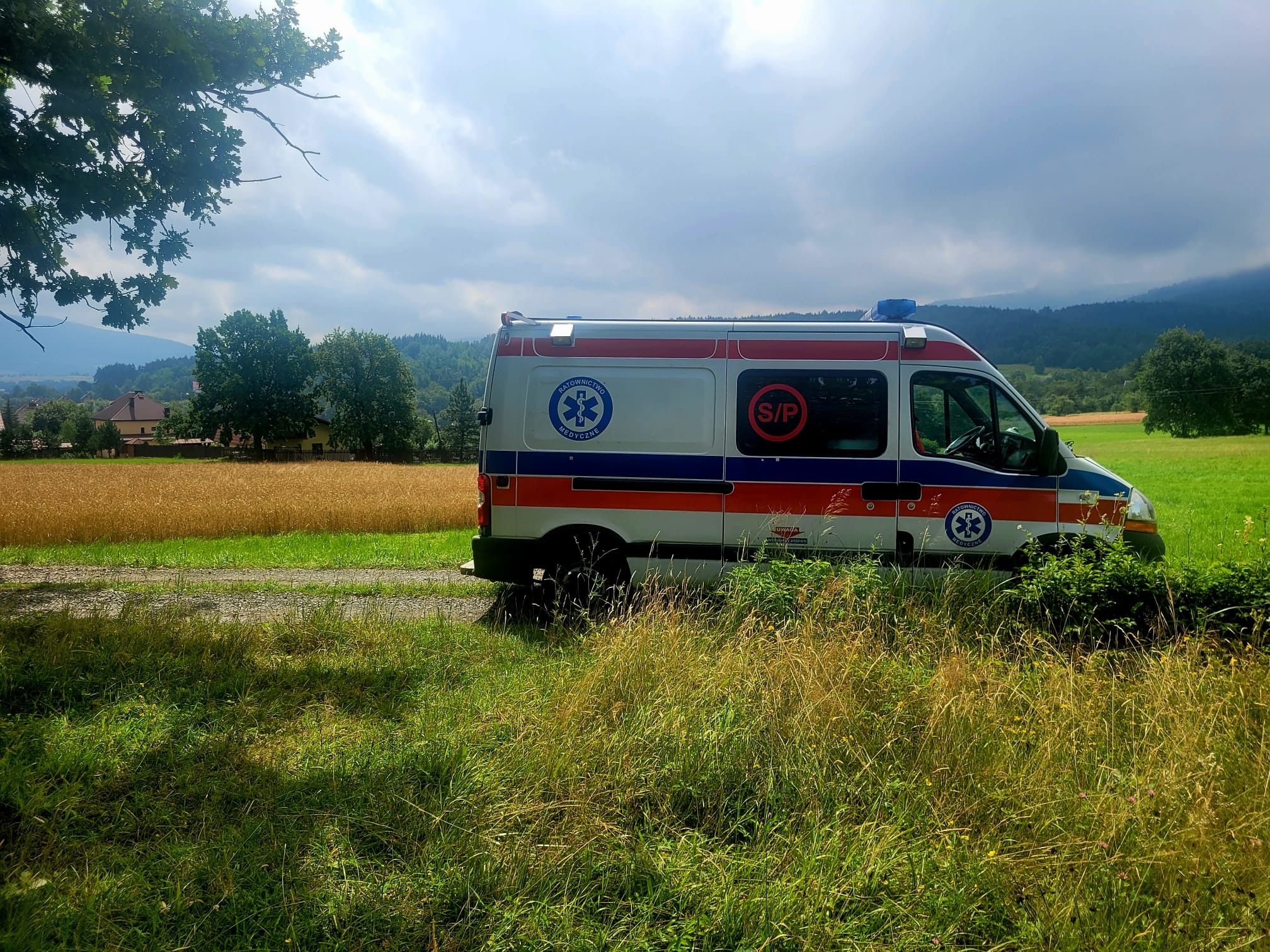 Ambulans na tle łąki i gór, widoczny zza wysokiej trawy, z symbolem ratownictwa medycznego na karoserii.