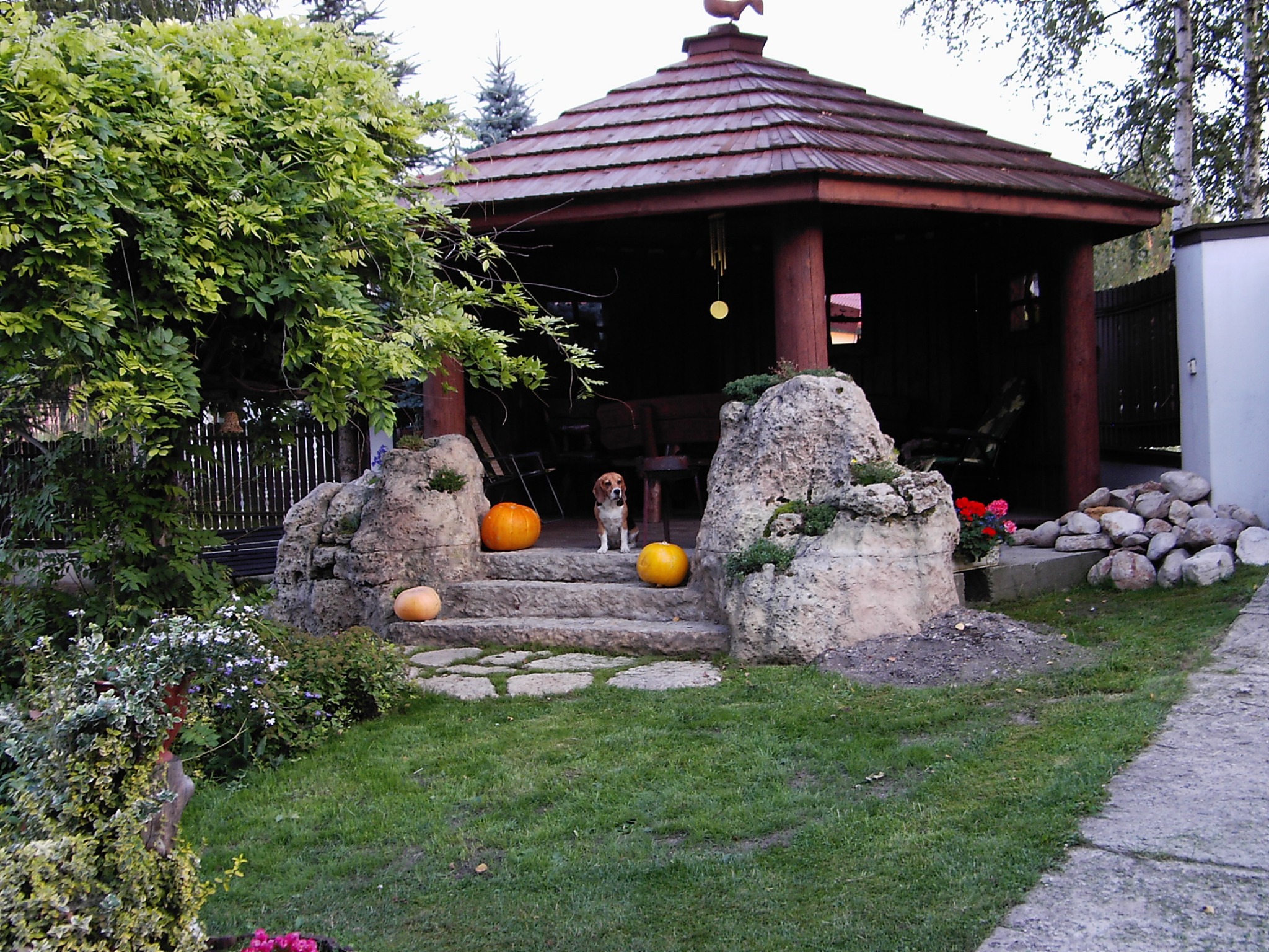 Drewniana altana z rzeźbionym kogutem na dachu, kamienne schody z dyniami, pies rasy beagle na wejściu, Dulowa.