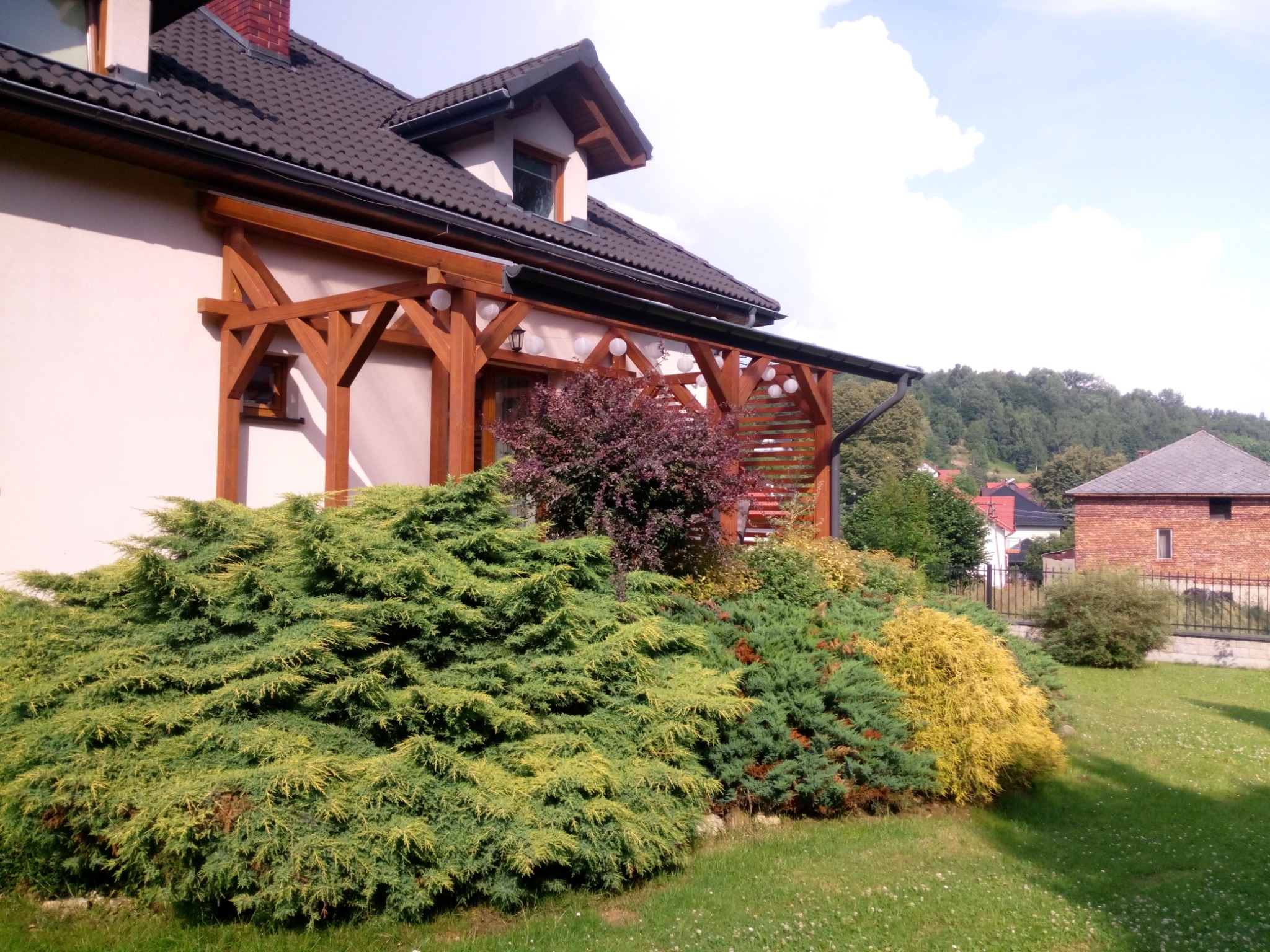 Drewniana konstrukcja przy domu, prawdopodobnie pergola, oświetlona białymi kulami, częściowo zasłonięta przez bujne krzewy iglaste i liściaste.