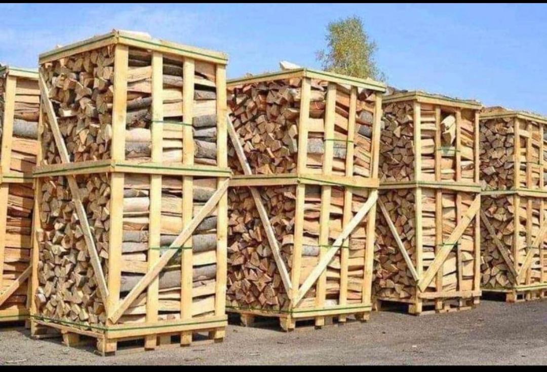 Rząd drewnianych skrzyń paletowych wypełnionych pociętym drewnem opałowym, przygotowanych do transportu lub magazynowania, z widocznym drzewem w tle.