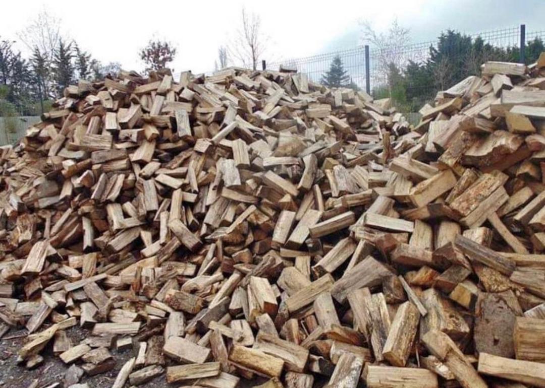 Stos pociętego drewna kominkowego ułożonego na pryzmie, widoczne ślady kory i sęki, w tle siatka ogrodzeniowa i drzewa.