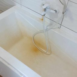 Sprzątanie mieszkań Wyśmierzyce 1