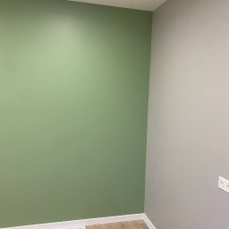 DK Renovations Homes - Pomieszczenie po odświeżeniu: ściana w odcieniu zieleni, kontrastująca z szarą ścianą narożną, jasna podłoga z paneli, biała listwa przypodłogowa i gniazdko elektryczne w prawym dolnym rogu.