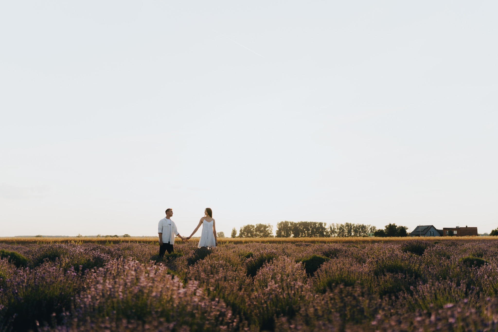 Para trzymająca się za ręce spaceruje przez pole kwitnącej lawendy w kierunku odległych zabudowań.