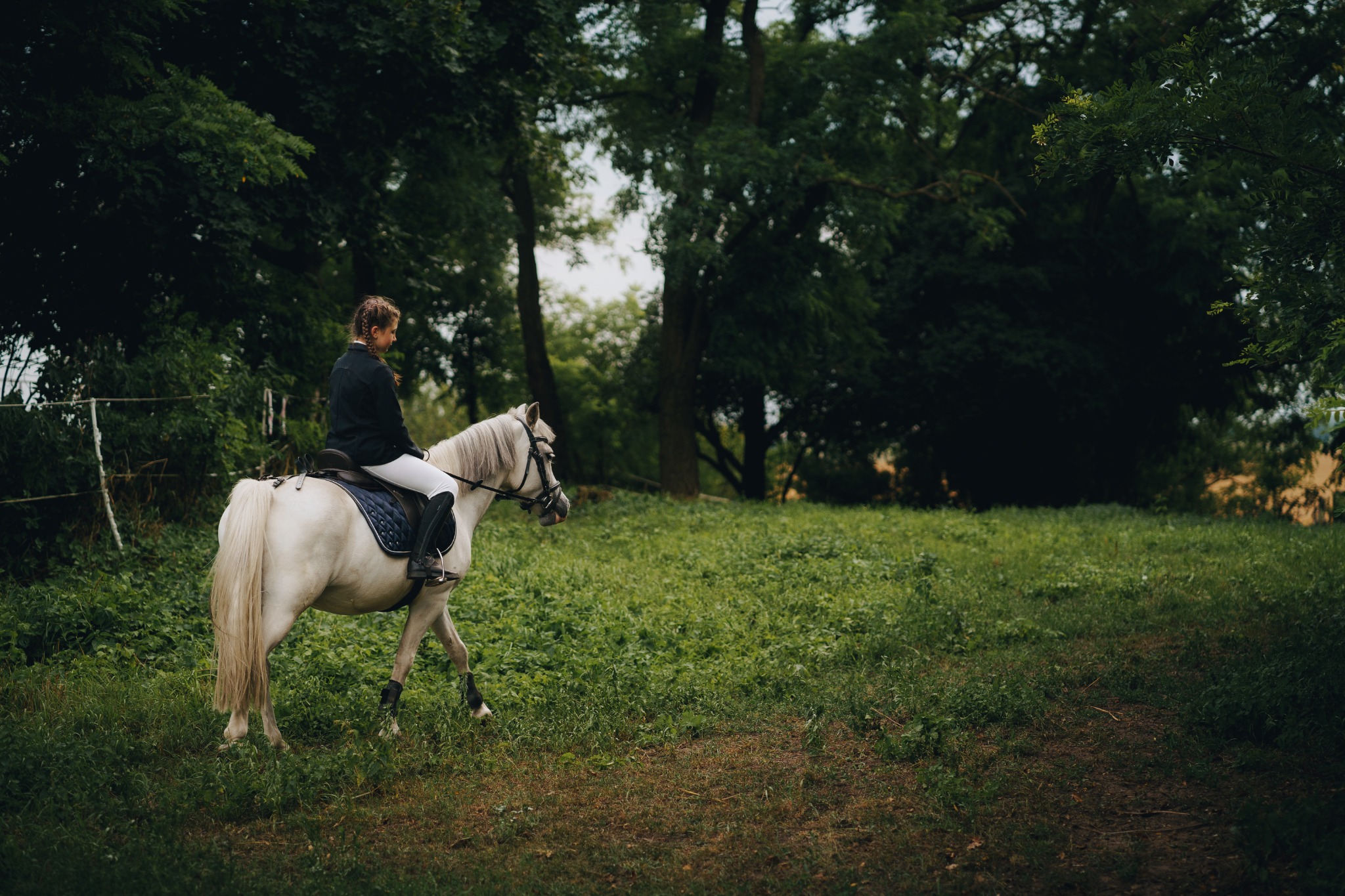 Dziewczyna w czarnej kurtce i białych bryczesach jeździ na białym koniu przez zieloną łąkę w lesie.
