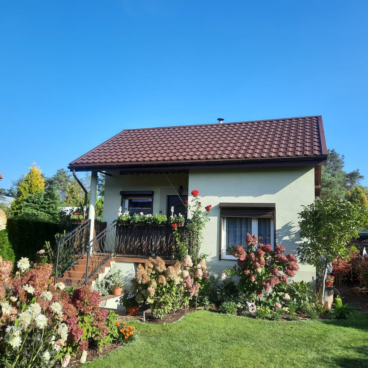 Urokliwy dom z brązowym dachem z dachówki ceramicznej, otoczony kwitnącymi hortensjami i zadbanym trawnikiem w słoneczny dzień.