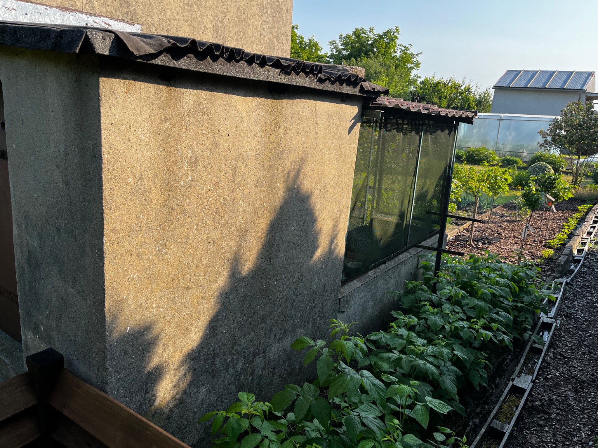 Fragment ściany budynku z szarego betonu z widocznym cieniem, przylegający do szklarni, z ogrodem w tle