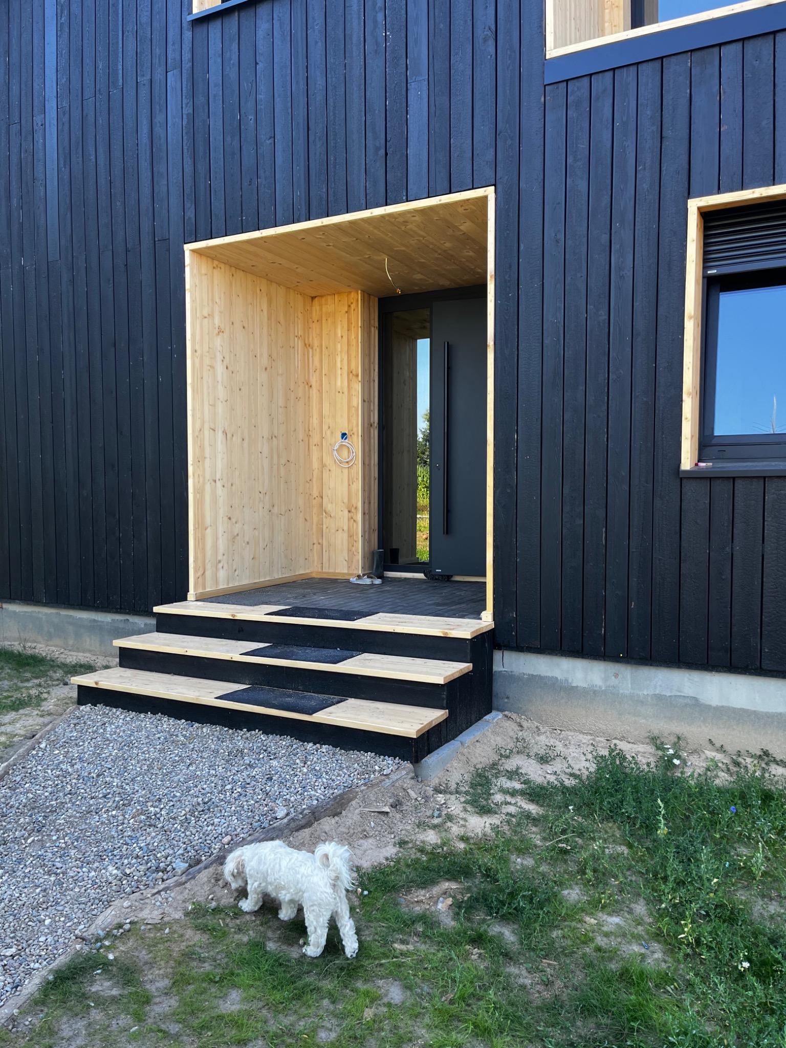 Nowoczesny dom z czarną drewnianą elewacją i jasnym, drewnianym wejściem; widoczne schody z czarnymi akcentami i biały piesek na trawniku.