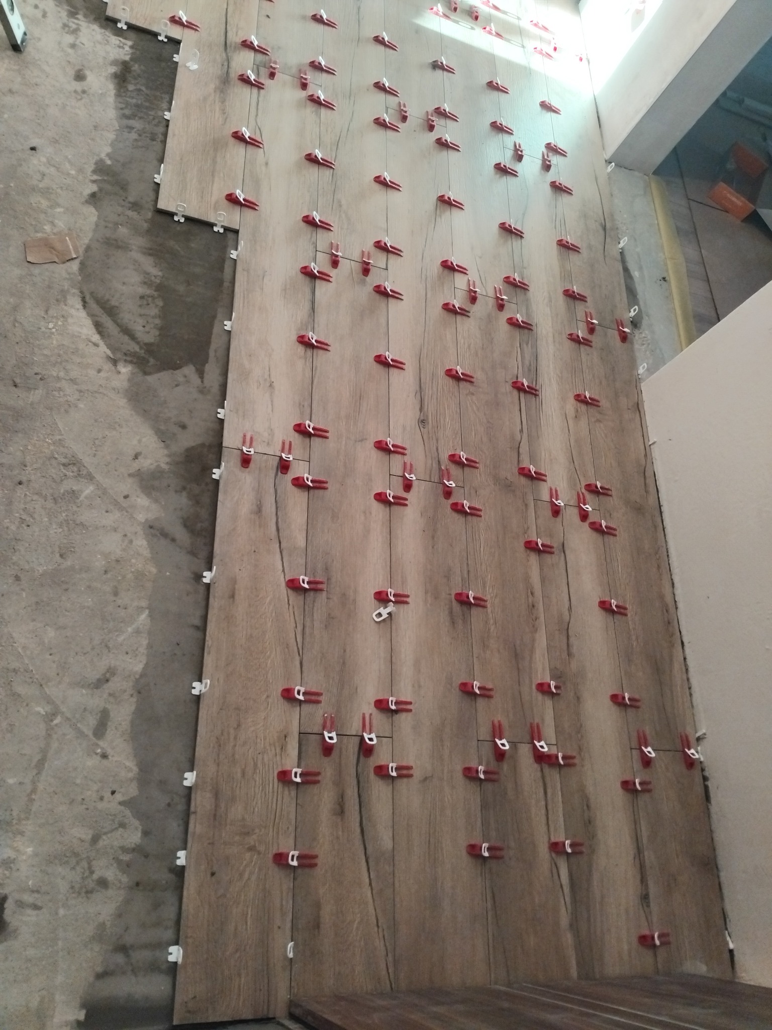 Układanie drewnopodobnych płytek podłogowych z użyciem czerwonych i białych klipsów poziomujących. Widoczny fragment surowej posadzki.