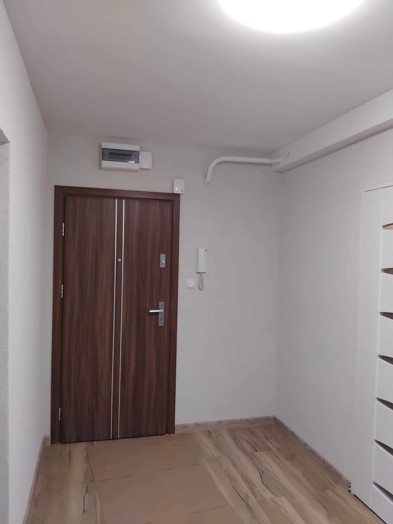 Nowoczesny przedpokój po remoncie: brązowe drzwi wejściowe z srebrnymi paskami, panele podłogowe i białe ściany. Widoczna instalacja elektryczna pod sufitem.