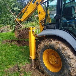 LesiuKop Krzysztof i Tomasz Leśniak s.c. - Usuwanie drzewka.