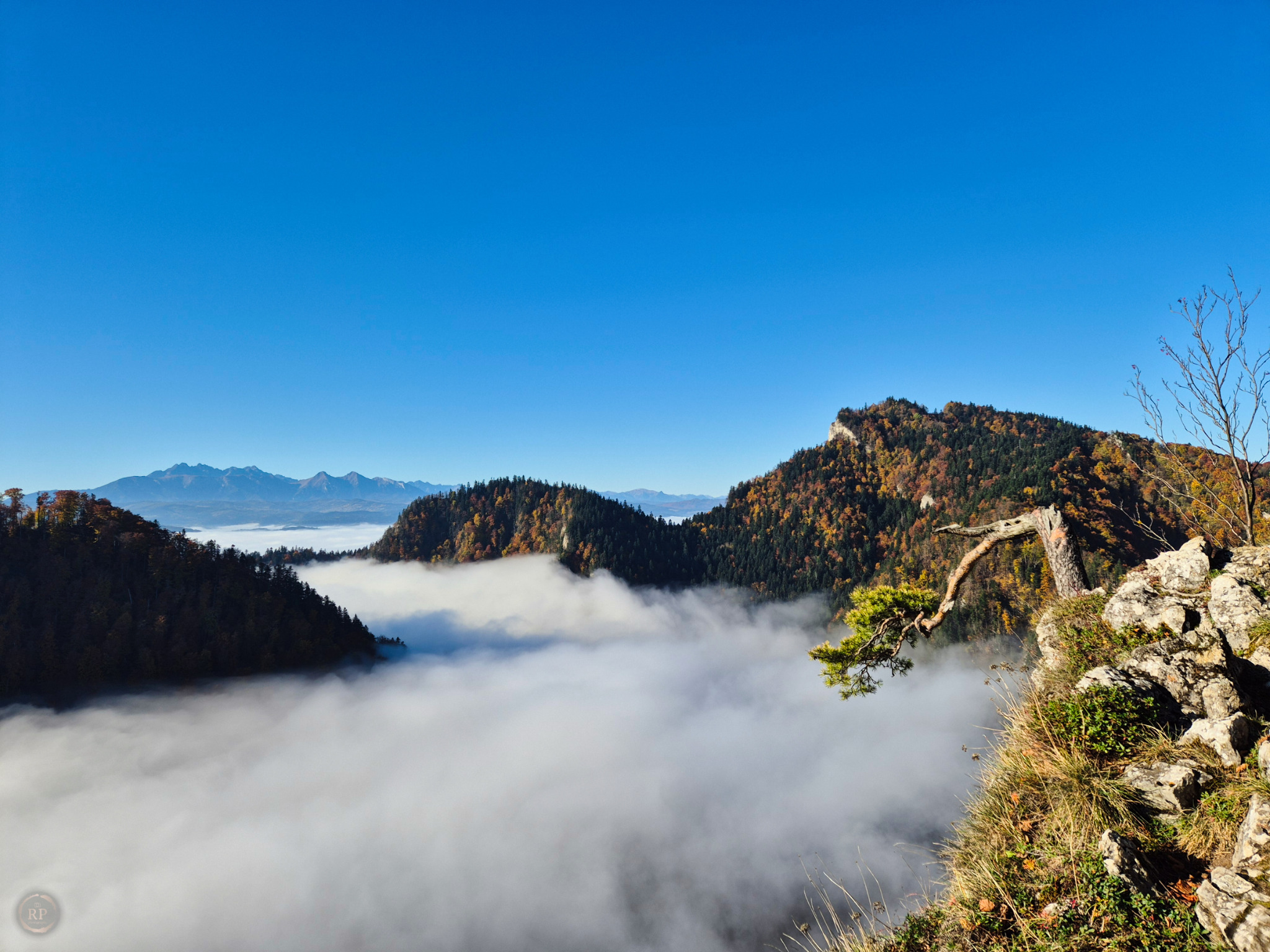Jesienny krajobraz górski z widokiem na dolinę spowitą mgłą, niebo błękitne. Kadr z bliska, skały na pierwszym planie. Kontrast barw i faktur.