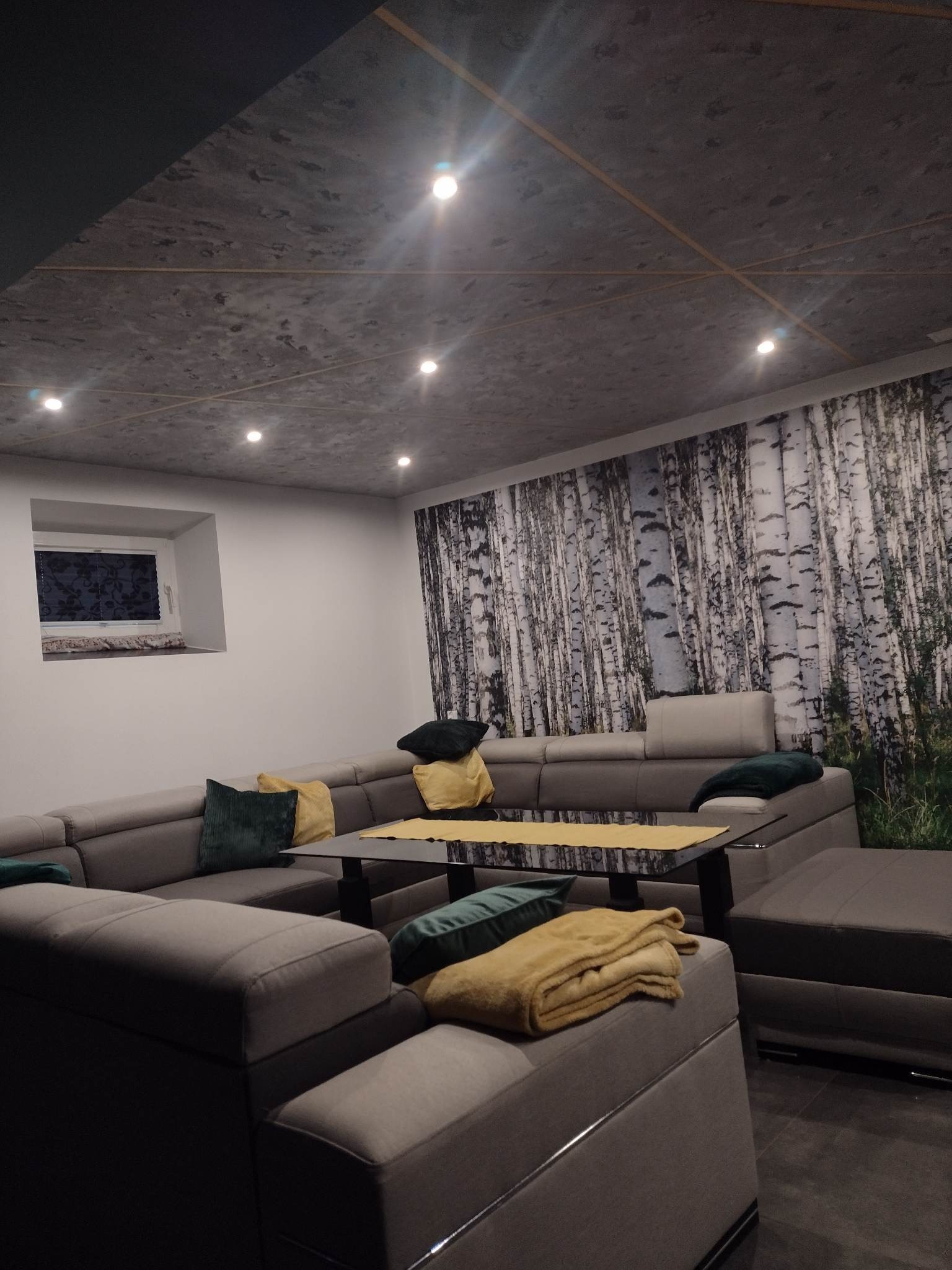 Szary narożnik z poduszkami i kocem, czarny stolik kawowy, fototapeta z motywem brzozowego lasu, sufit z widoczną strukturą betonu i oświetleniem punktowym.