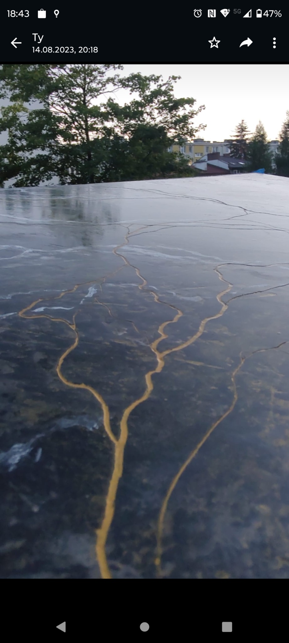 Błyszcząca, ciemna powierzchnia z abstrakcyjnym, złotym wzorem przypominającym korzenie drzewa, odbijająca drzewa i budynki w tle.