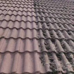 Częściowo wyczyszczony dach z czerwonej dachówki, widoczna wyraźna różnica między czystą a porośniętą mchem powierzchnią.