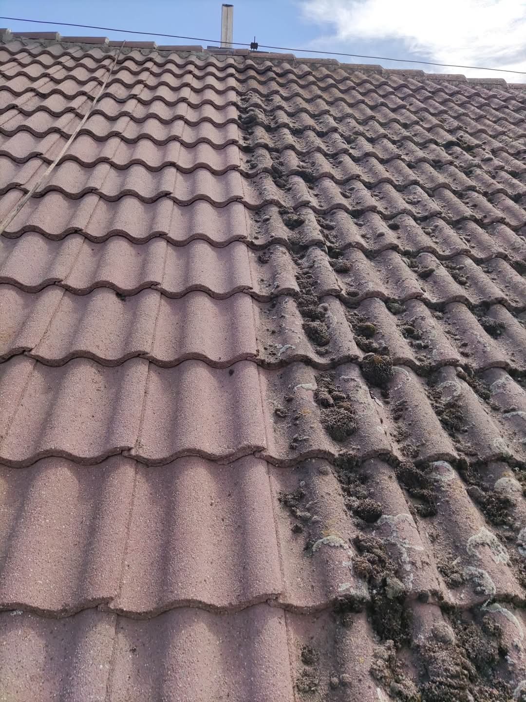 Częściowo wyczyszczony dach z czerwonej dachówki, widoczna wyraźna różnica między czystą a porośniętą mchem powierzchnią.