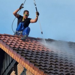 Mycie dachów Merzen  4