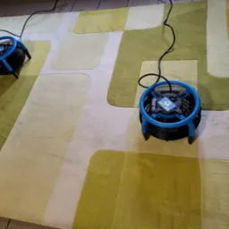 Dwa niebieskie wentylatory osuszające na wzorzystym dywanie w odcieniach zieleni i beżu, po czyszczeniu.