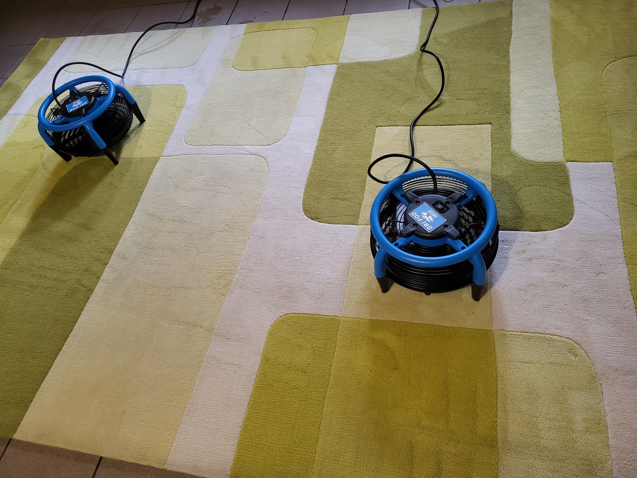 Dwa niebieskie wentylatory osuszające na wzorzystym dywanie w odcieniach zieleni i beżu, po czyszczeniu.