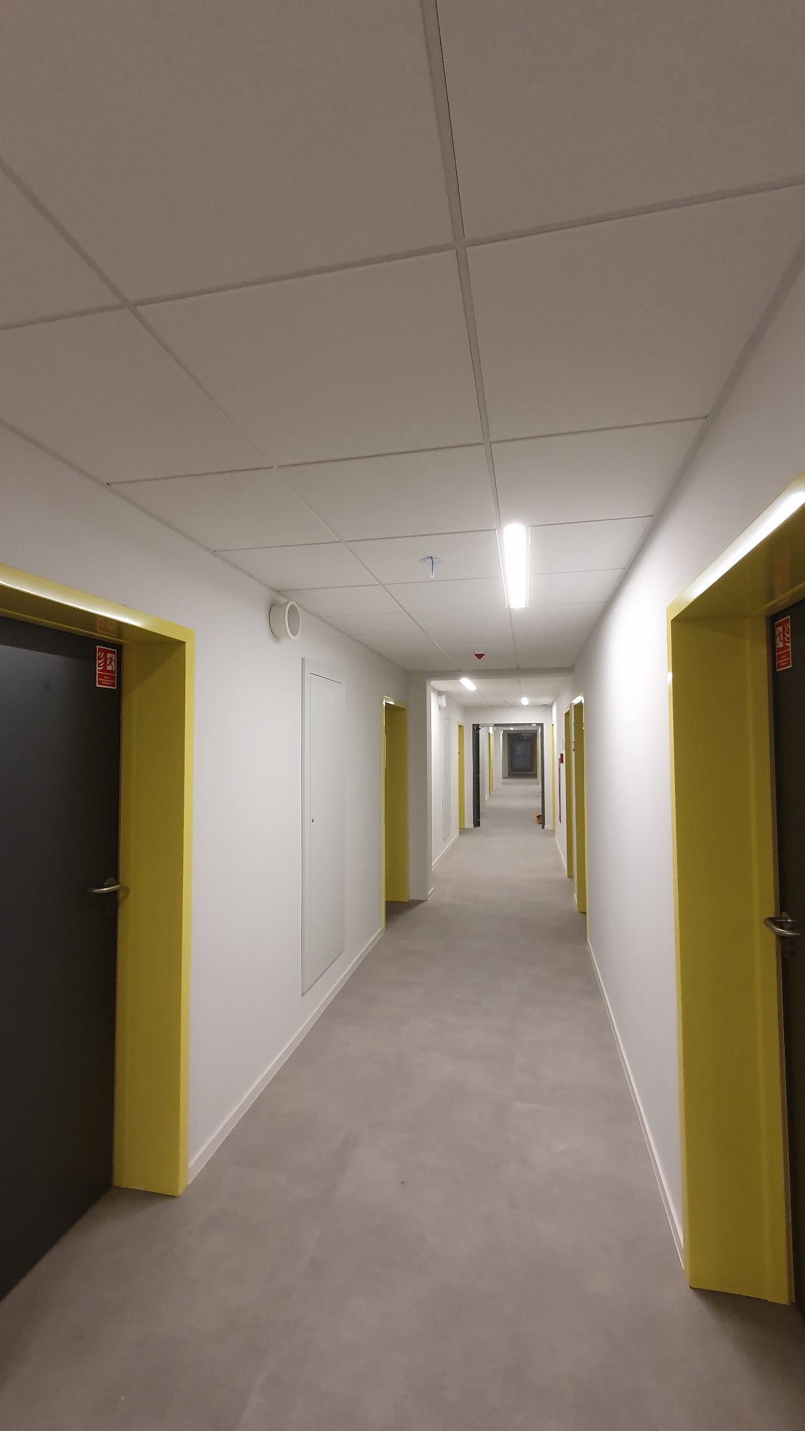 Długi korytarz w nowym budynku z białymi ścianami, szarą podłogą, żółtymi ościeżnicami drzwi i podwieszanym sufitem kasetonowym z lampami liniowymi.