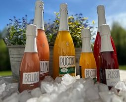 Aranżacja sześciu butelek napojów (Bellini, Puccini, Rossi) w różnych kolorach, umieszczonych w srebrnym wiaderku z lodem, z rozmyte tło zieleni i błękitu nieba.