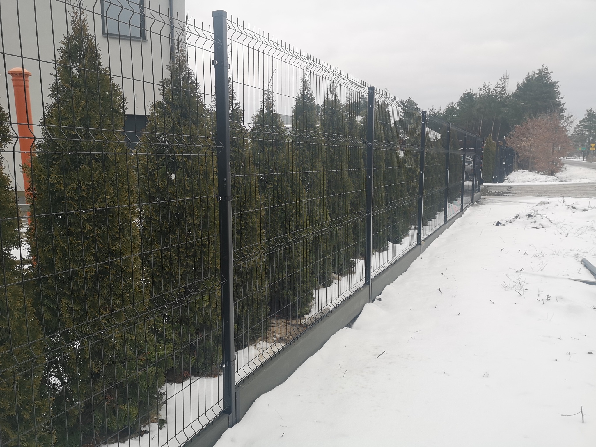 Nowoczesne ogrodzenie panelowe z ciemnego metalu, widoczne na tle rzędu zielonych tuj i zasypanego śniegiem terenu.