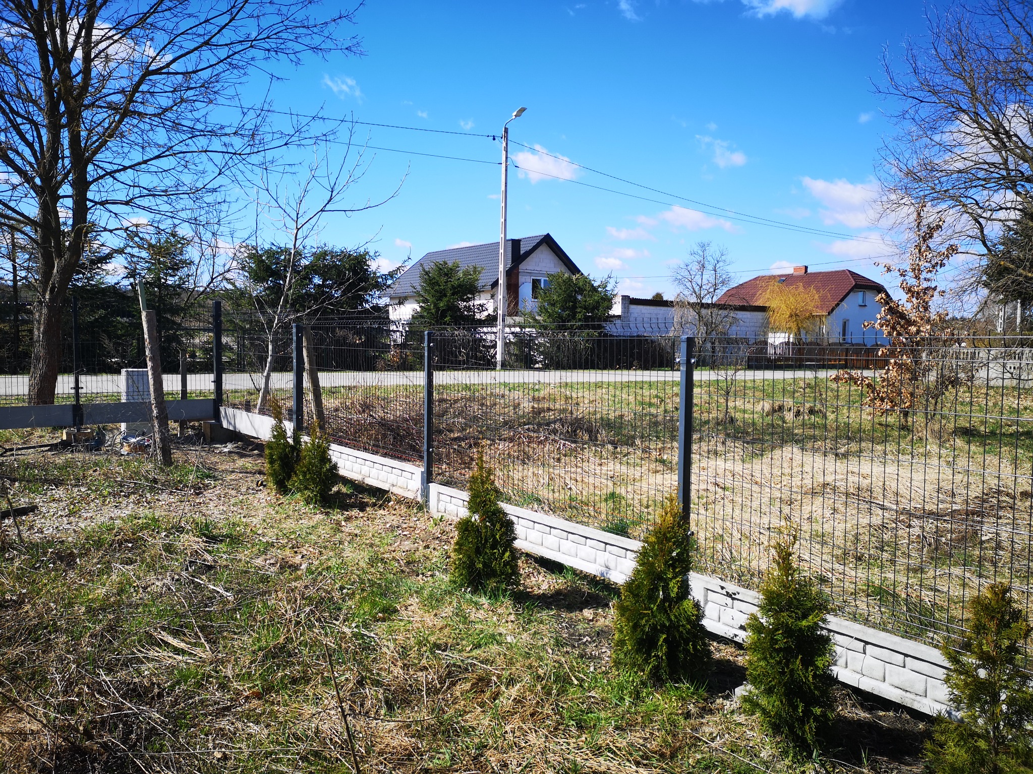 Nowo postawione ogrodzenie z siatki z podmurówką betonową, obsadzone młodymi tujami w słoneczny dzień. W tle widoczny dom jednorodzinny z grafitowym dachem i białą elewacją.