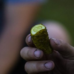 Grafik komputerowy Grudziądz 3