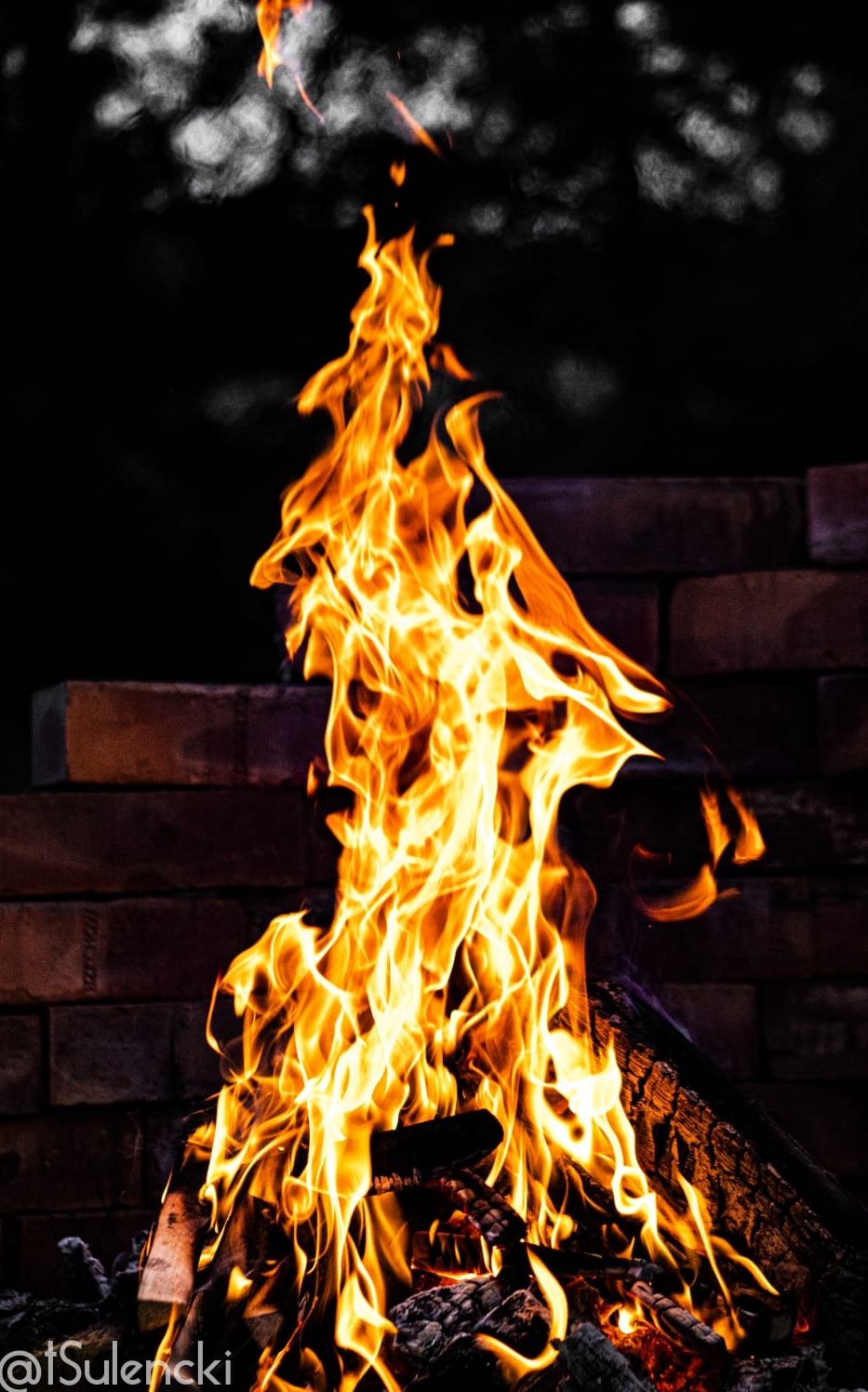 Płomienie ognia w ognisku, z widocznymi kawałkami drewna i ceglanym murem w tle, ujęcie z dołu.