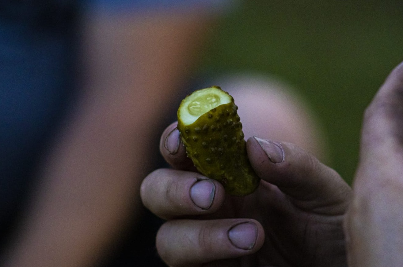 Przekrojony korniszon trzymany w dłoni, widoczne wnętrze i skórka z brodawkami, tło rozmyte.