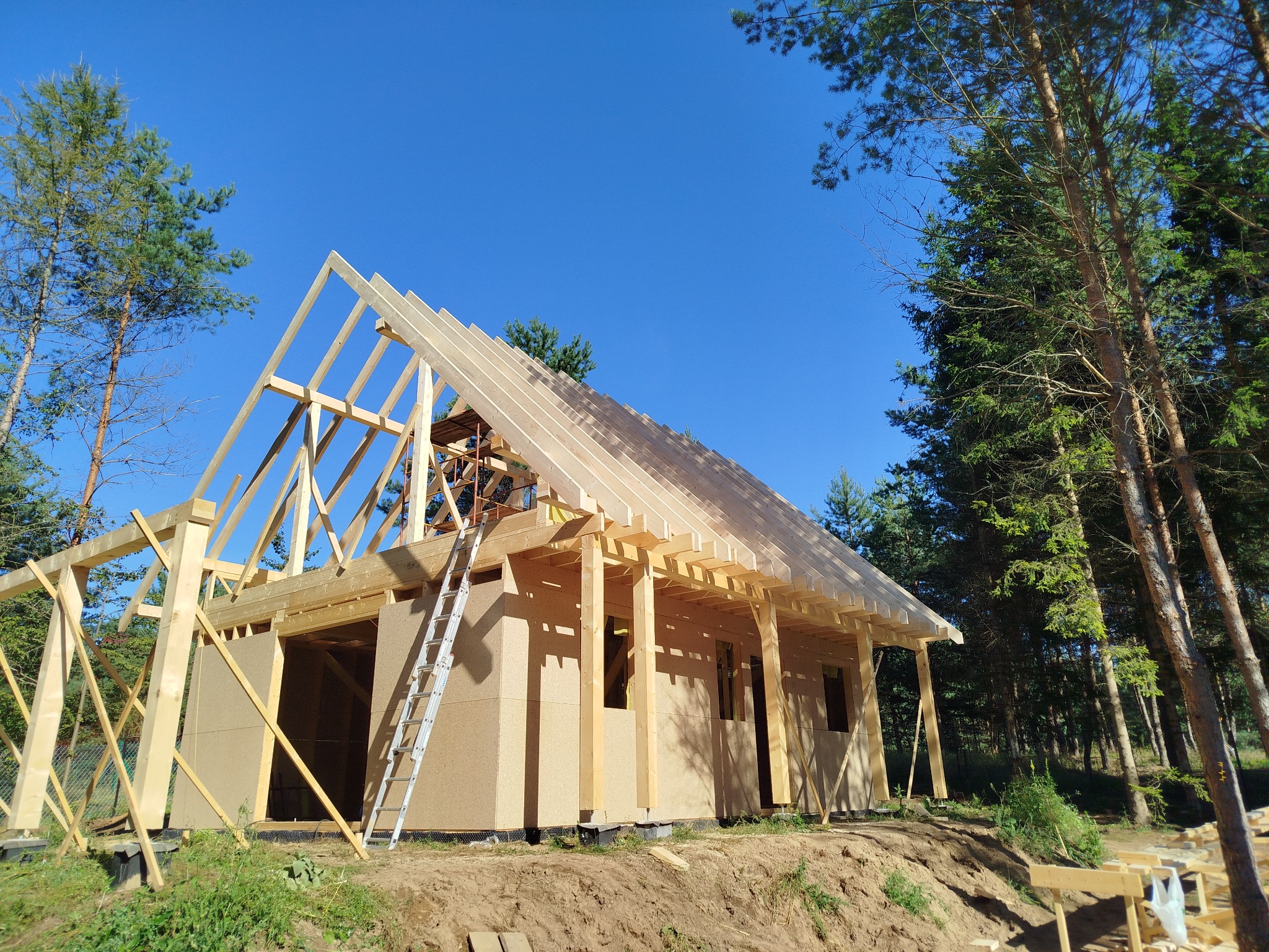 Wznoszenie domu szkieletowego w lesie: konstrukcja z drewna, ściany z płyt OSB, drabina oparta o budynek, błękitne niebo w tle. Widoczny etap budowy dachu.