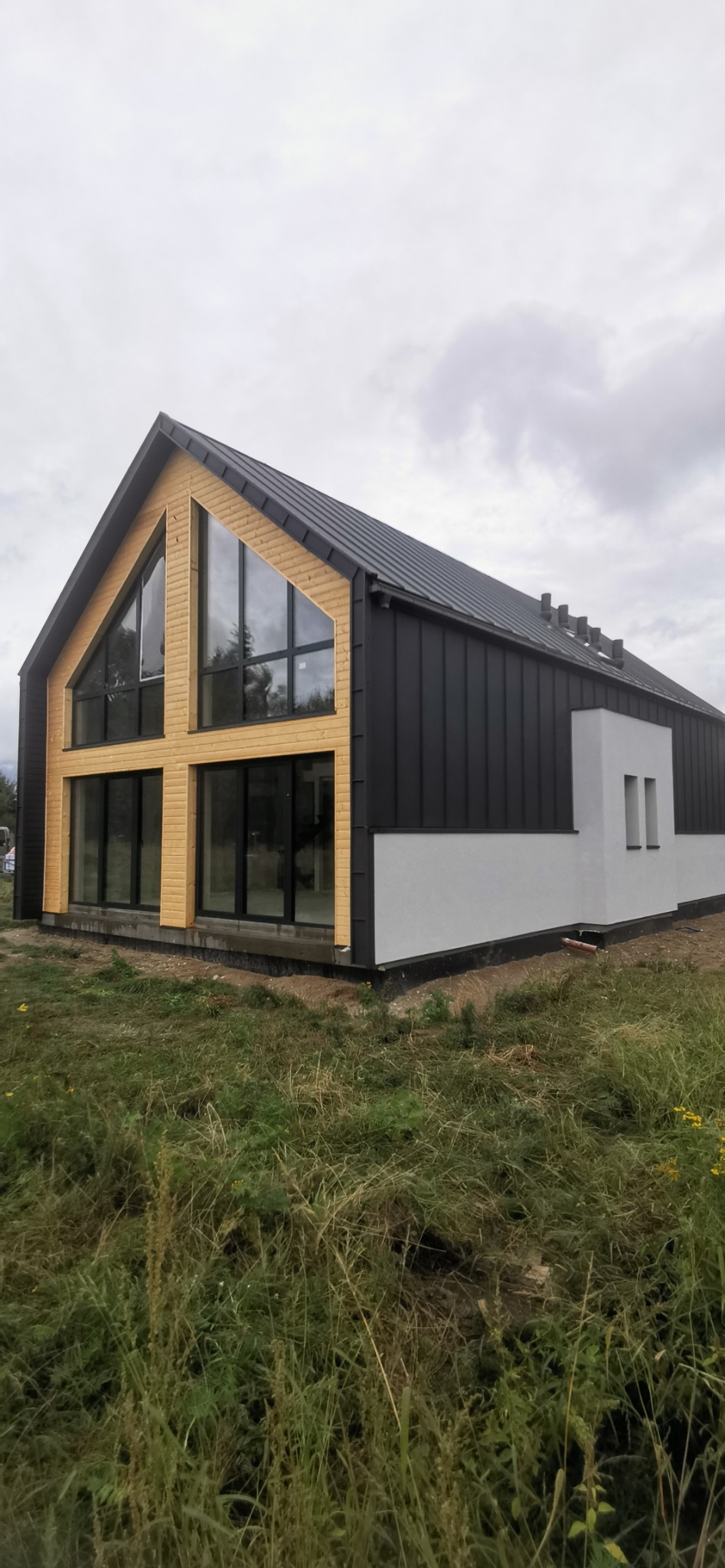 Nowoczesny dom szkieletowy z dużymi oknami, wykończony czarną blachą i jasnym drewnem, widok z zewnątrz na tle pochmurnego nieba.