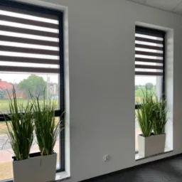 Dwa okna z brązowo-białymi roletami dzień-noc, przed którymi stoją donice z wysokimi, zielonymi trawami ozdobnymi, widok na zewnątrz na domy i zieleń.