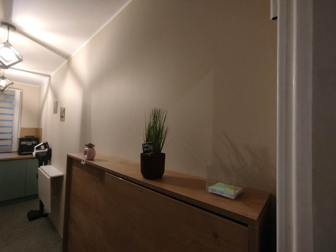 Drewniany blat składanego stołu w kuchni, z dekoracjami: sukulent w różowej doniczce i trawa w ciemnej donicy. W tle widoczny fragment zabudowy kuchennej.