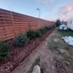 Świeżo posadzone małe świerki wzdłuż drewnianego płotu, wyściółkowane korą, z widocznym przygotowanym pasem ziemi i przyczepą kempingową w tle.