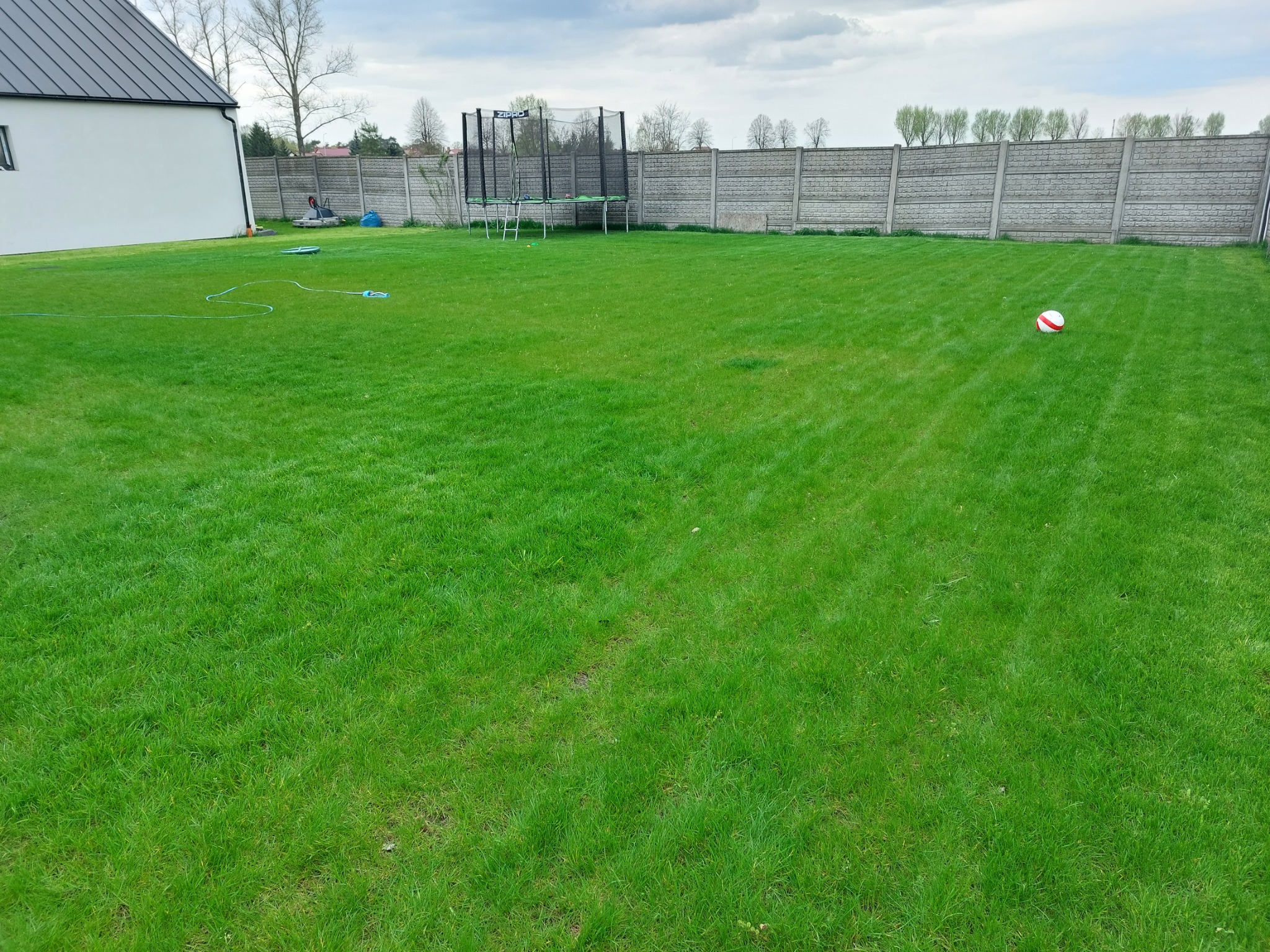 Rozległy trawnik z soczystą zieloną trawą, ogrodzony betonowym płotem, z trampoliną i piłką w tle, oraz wężem ogrodowym leżącym na trawie.