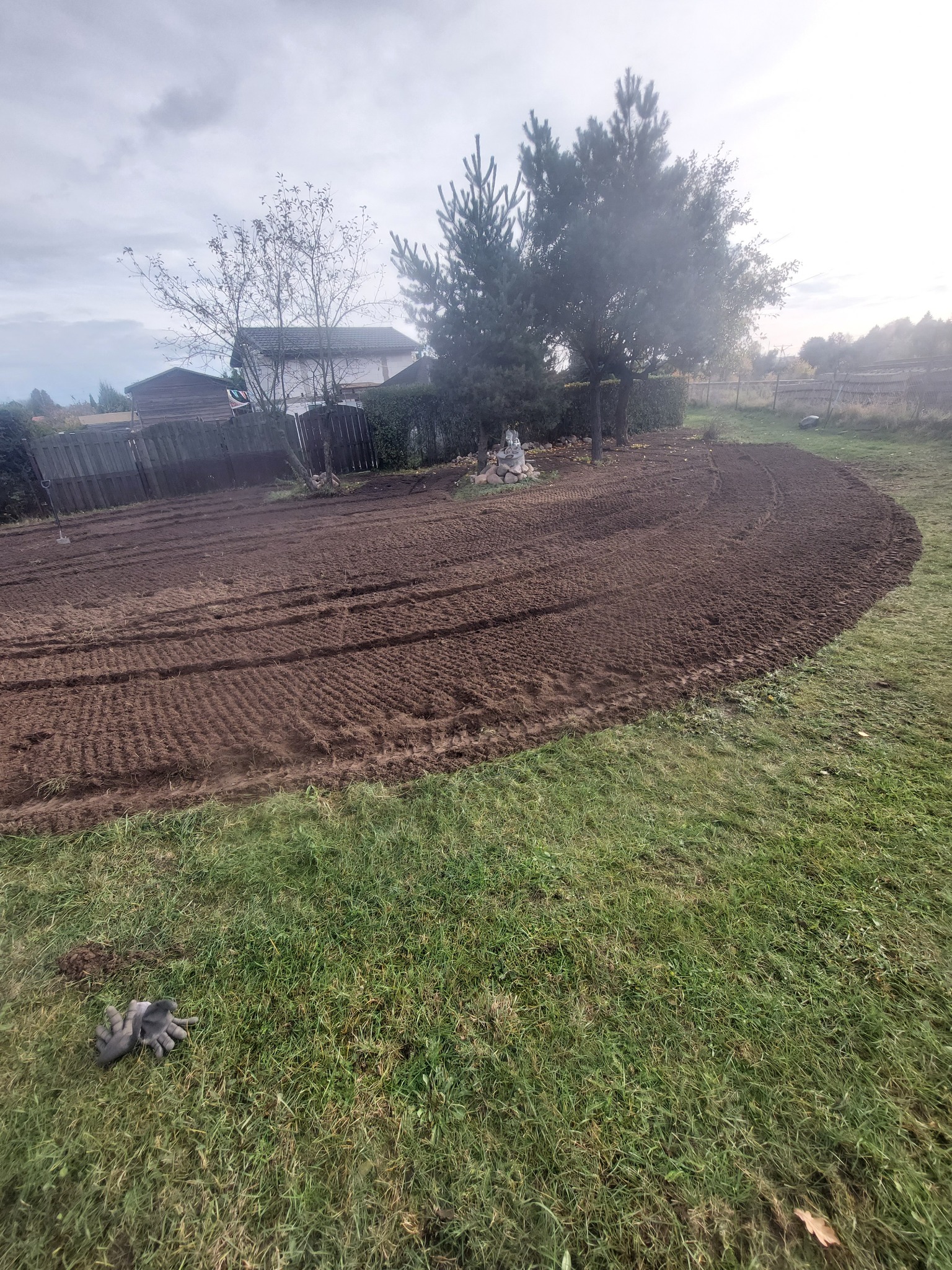 Przygotowany teren pod trawnik z widocznymi śladami po bronowaniu, w tle zabudowa jednorodzinna i drzewa.