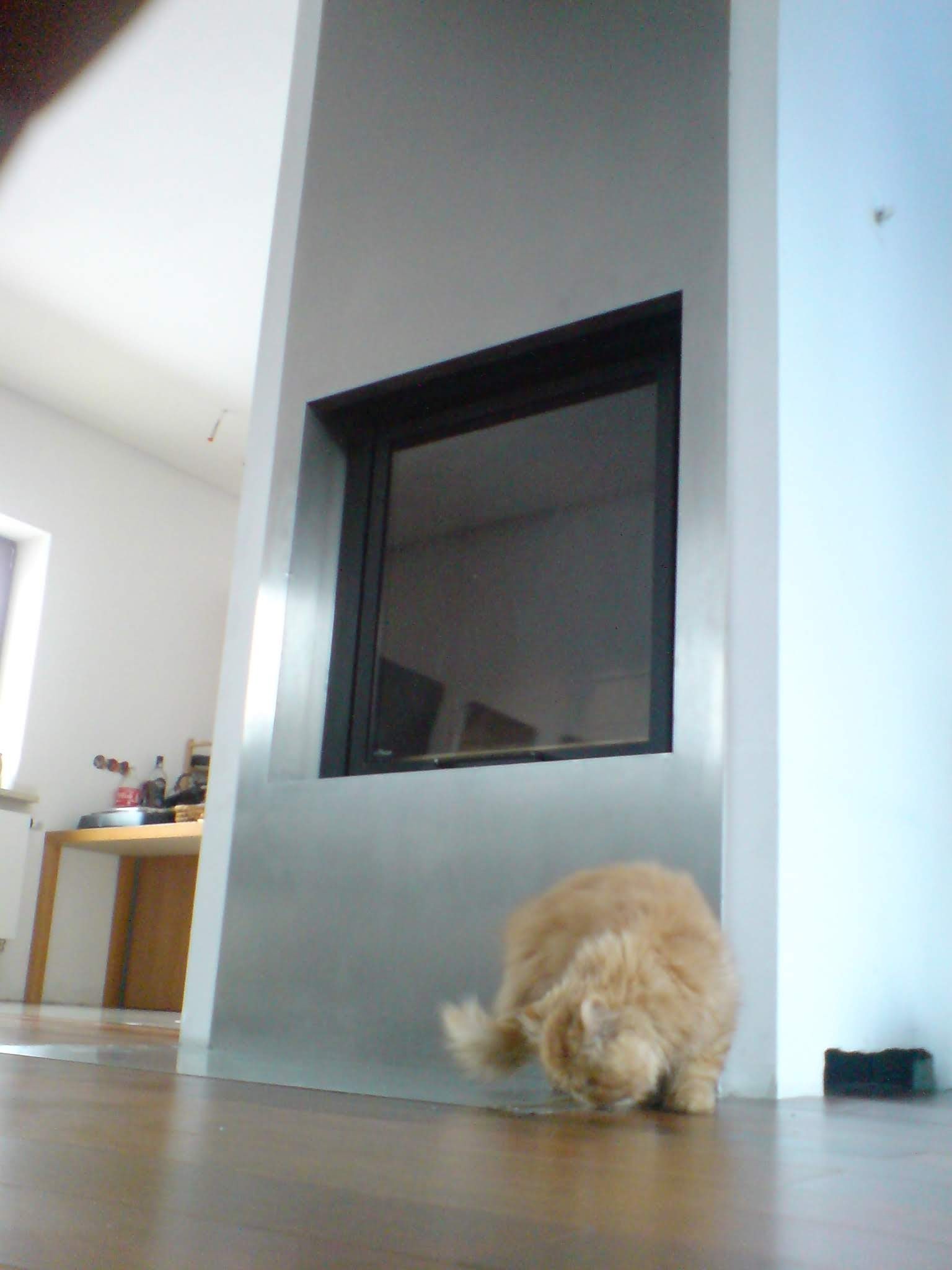 Nowoczesny kominek z szarą obudową i czarnym wkładem, z perspektywy podłogi, z rudym kotem w kadrze i widocznym fragmentem stołu z butelkami w tle.