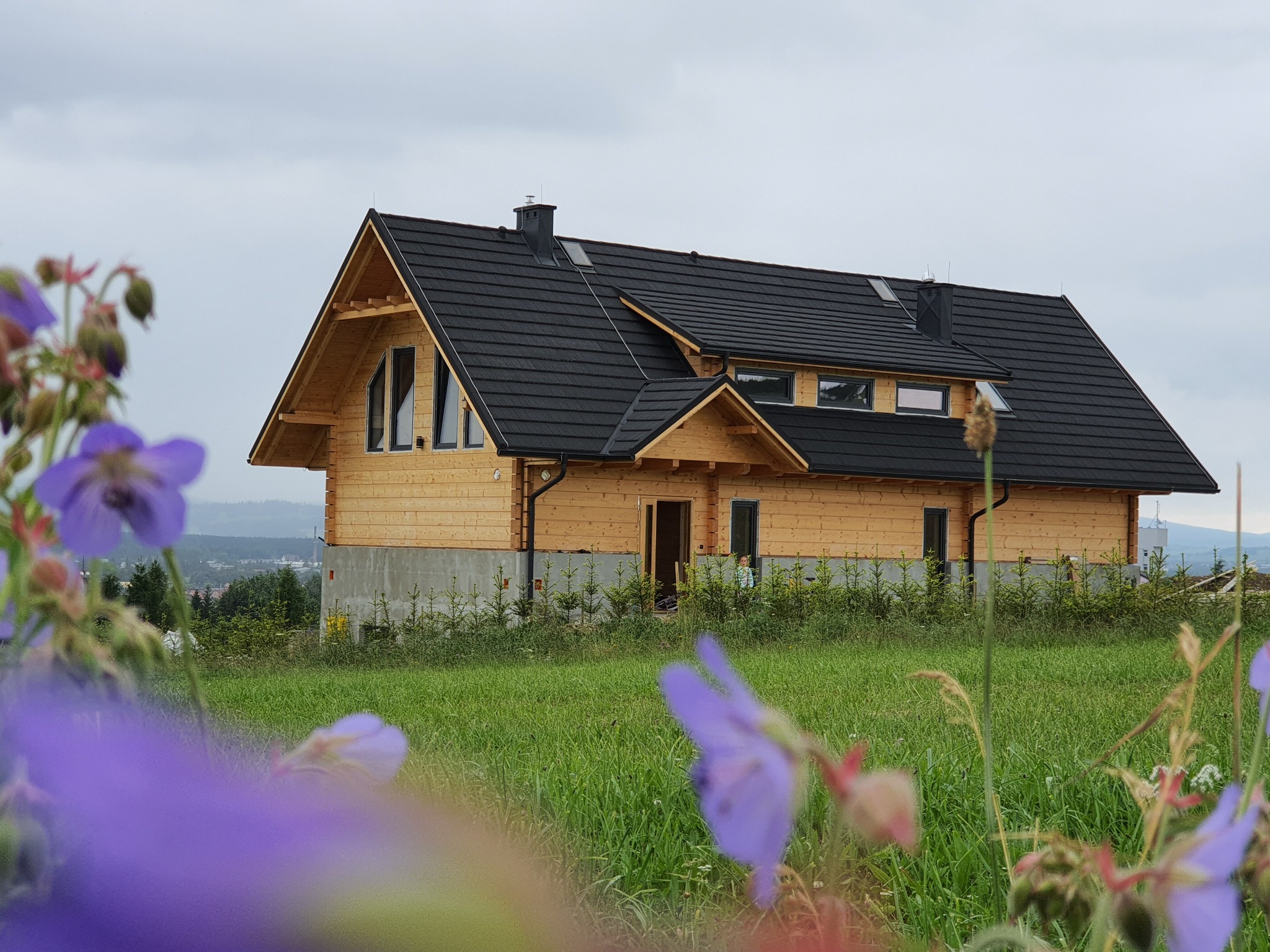 Surowy drewniany dom z czarnym dachem, częściowo wykończony, z widocznym fundamentem, otoczony zielonym trawnikiem i fioletowymi kwiatami na pierwszym planie, na tle pochmurnego nieba.