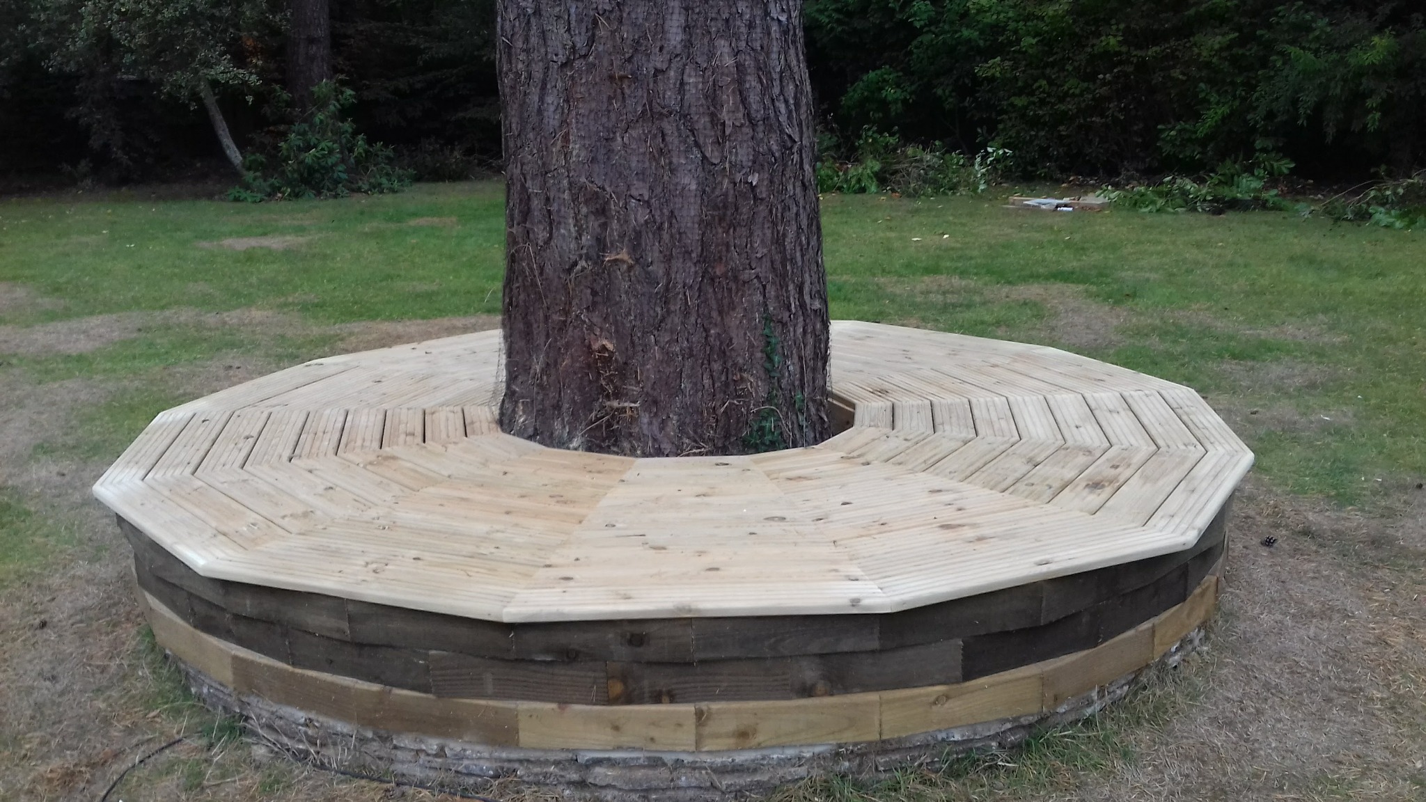 Okrągła konstrukcja z desek otaczająca pień drzewa na trawniku, tworząca podest lub ławkę.