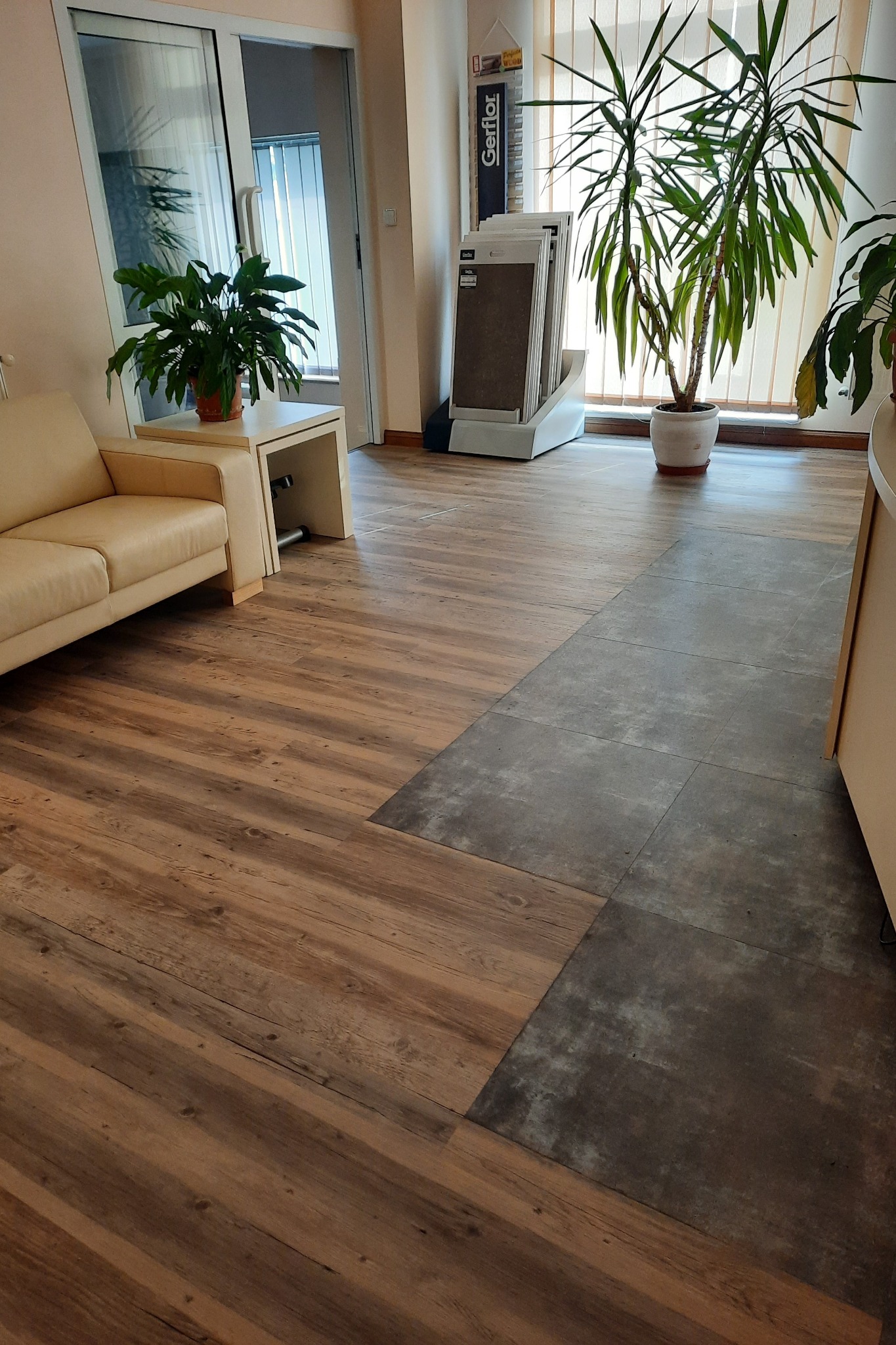 Połączenie dwóch rodzajów podłóg: paneli imitujących drewno i ciemnoszarych płytek, w jasnym wnętrzu z sofą i roślinami doniczkowymi.