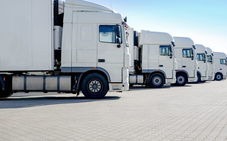 Rząd białych ciężarówek z naczepami ustawionych na betonowym placu, widok z boku, błękitne niebo w tle.