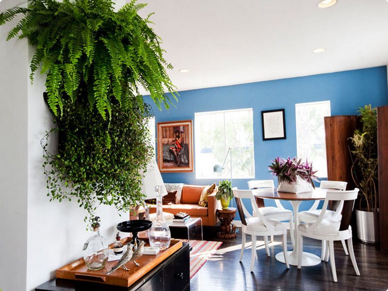 GreenSystem - systemowe ogrody ścienne ABSOLUTNA NOWOŚĆ !!!