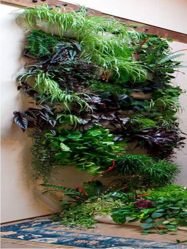 Systemowy ogród wertykalny z różnorodnymi gatunkami roślin, umieszczony na ścianie wewnątrz pomieszczenia, z widocznym fragmentem wzorzystego dywanu na podłodze.